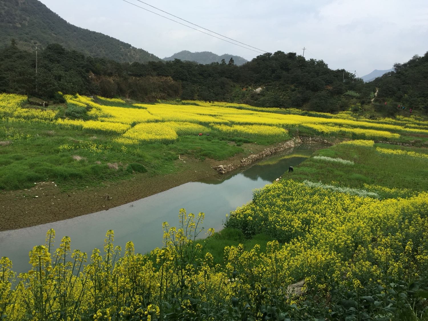 黄市乡天气预报更新通知