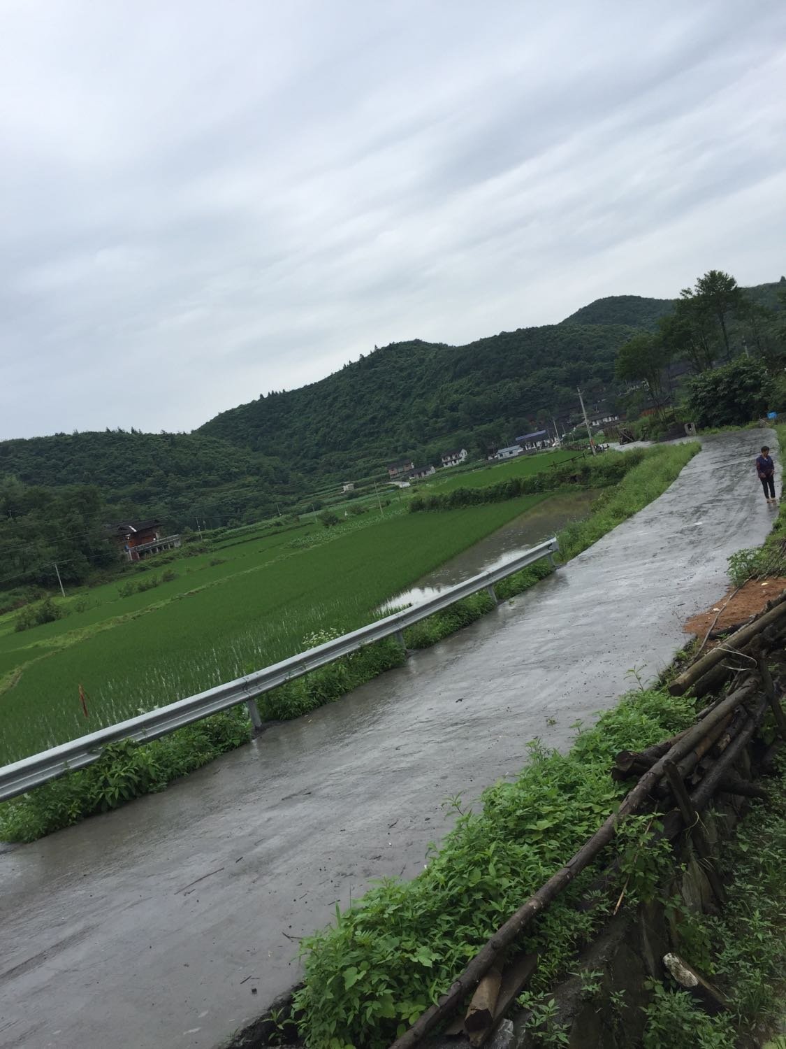 横路村委会天气预报更新通知