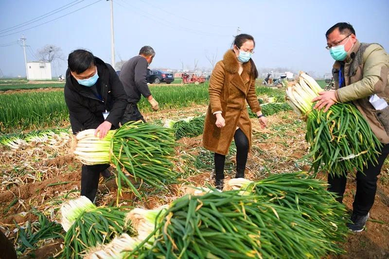 侯集镇最新交通动态报道