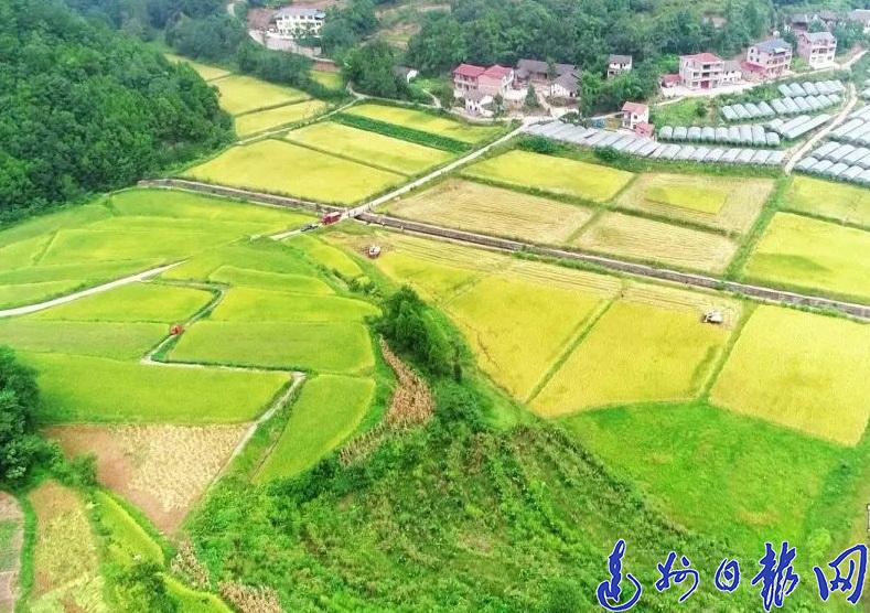 郭庄村民委员会天气预报更新通知