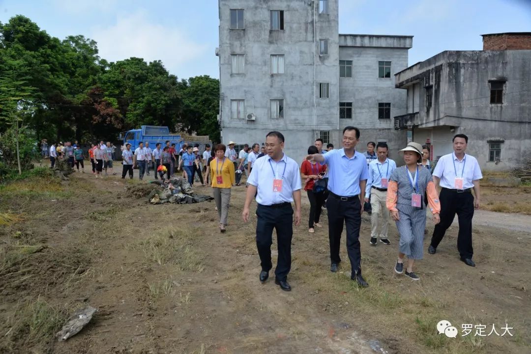 朗塘村，最新发展动态与社区新貌报道