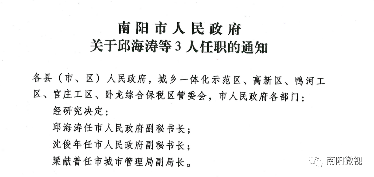 南阳村民委员会人事大调整，重塑乡村领导团队，开启社区发展新篇章