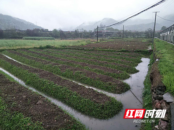 楠乡最新项目，乡村璀璨明珠引领发展之路