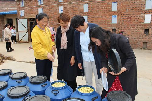 定昌村最新新闻报道概览