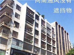 桃源镇交通建设带动地方经济腾飞，最新交通新闻综述