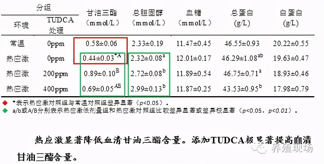 热帕村最新天气预报信息汇总